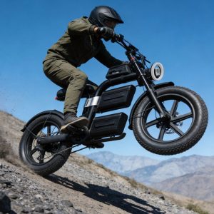 electric bicycle E20