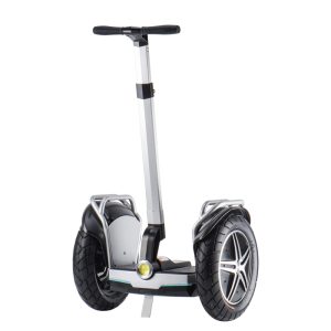 Segway 17inch