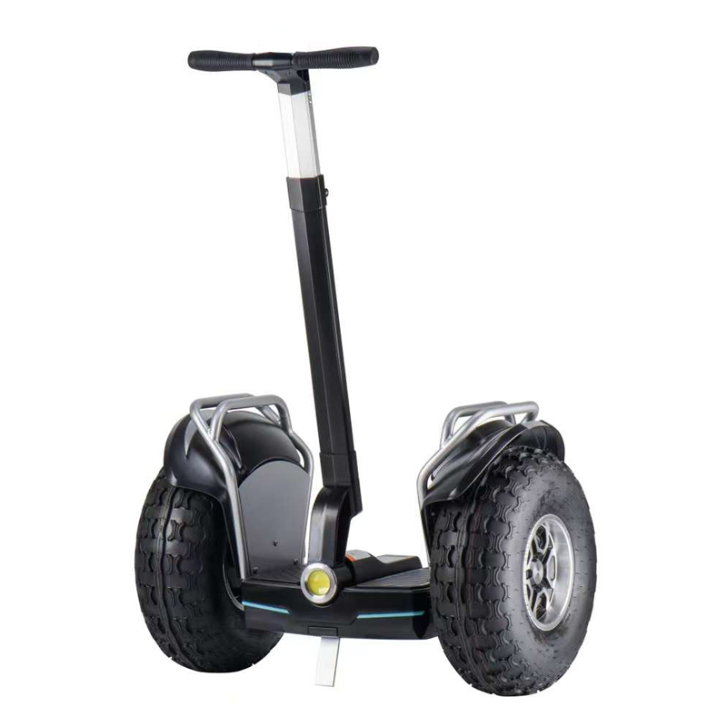 Segway 19 inch