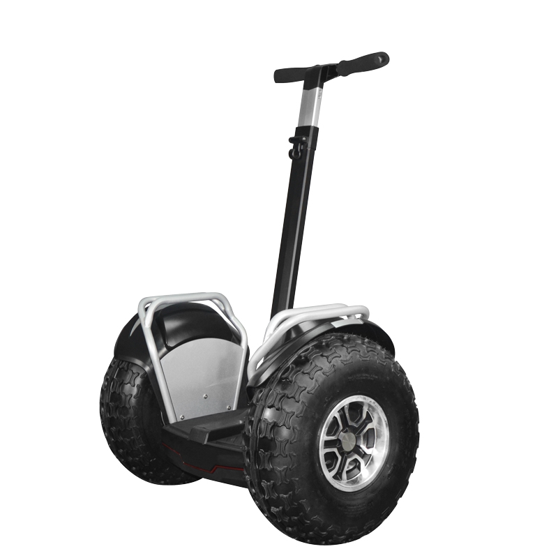 Segway with off-road fat tire