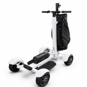 Golf resort  fleet scooter Electric Four Wheel Golf Cart Alternative Compact Golf Scooter for Easy Course Navigation