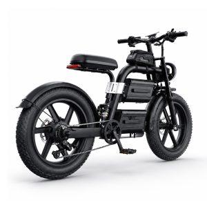 OEM ODM Factory  Electric Fat Tire Bike 20 Inch EU Legal Vintage Ebike CE UL Certified Wholesale Customization